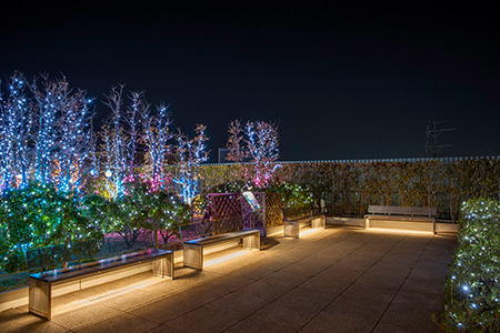 成城コルティ　屋上庭園の夜景