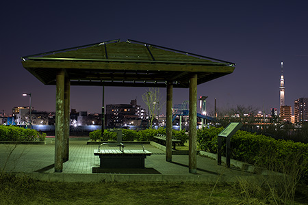 東立石緑地公園の夜景