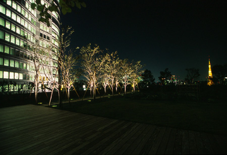 六本木ヒルズ　コンプレックス屋上庭園の夜景
