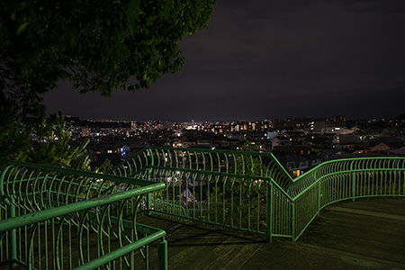 稲葉山公園の夜景