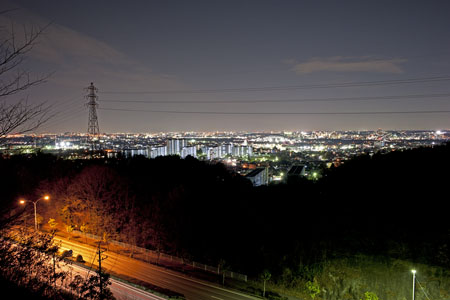豊田市自然観察の森の夜景