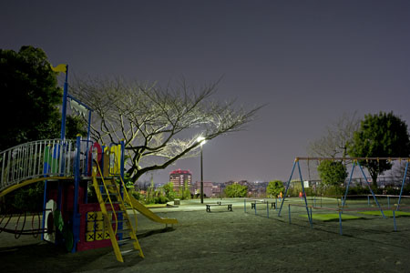 唐沢公園の夜景