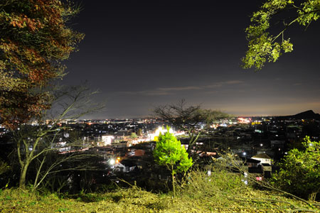 錦着山公園の夜景