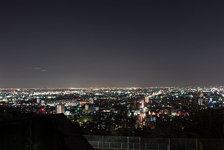 金華山展望公園の夜景