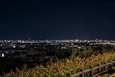 紀ノ川SAの夜景