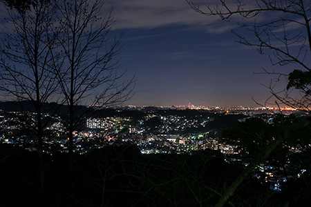 衣笠山公園の夜景