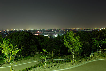 弘法山公園の夜景