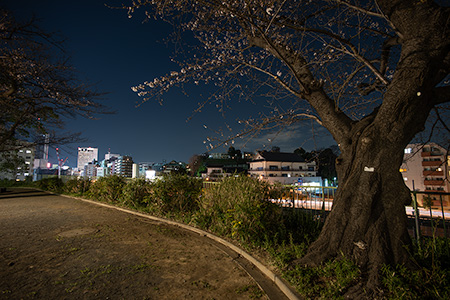 幸ヶ谷公園の夜景