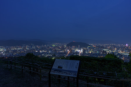 松山総合公園の夜景