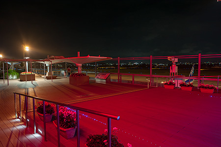 宮崎空港　飛行機のある展望公園の夜景