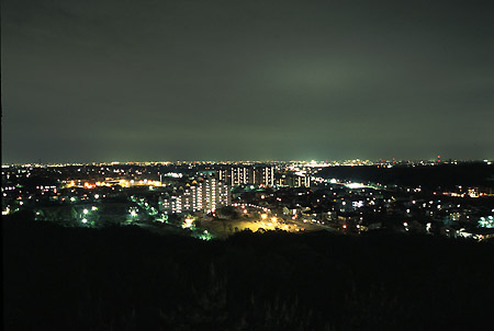 三好ヶ丘緑地の夜景