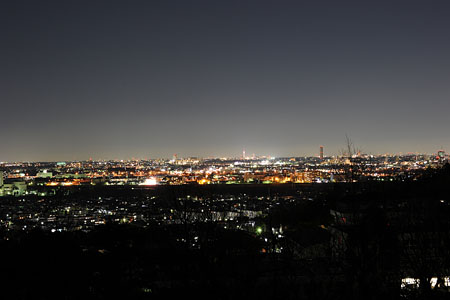 百草台自然公園の夜景