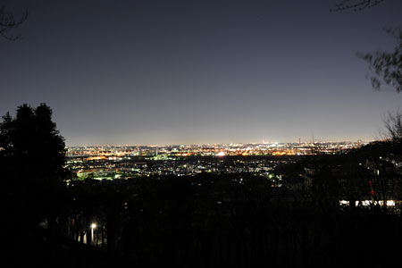 百草台自然公園の夜景
