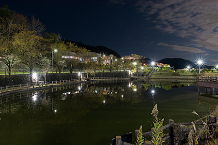 中池公園の夜景
