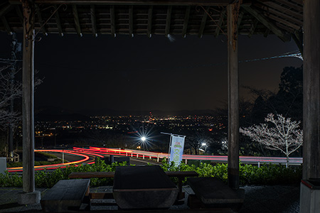 大津谷梅園の夜景