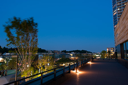 二子玉川ライズ　タワーオフィス　アネックスの夜景