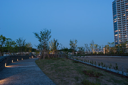 二子玉川ライズ　ルーフガーデン菜園広場の夜景