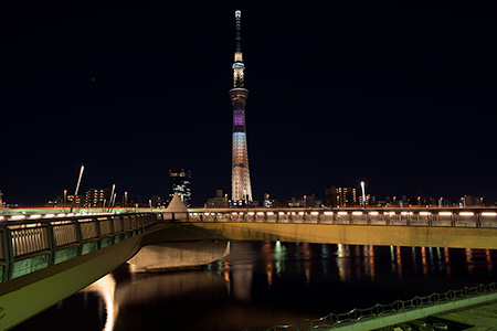 桜橋の夜景