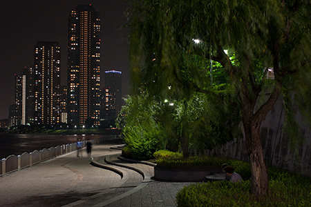 新川公園の夜景