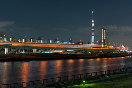汐入公園の夜景