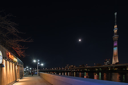 隅田公園の夜景