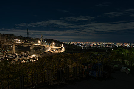 山本山手中央公園の夜景