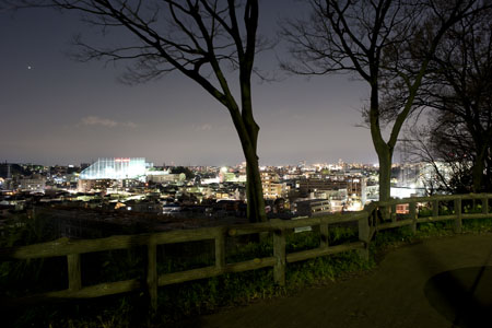 夢見ヶ崎動物公園の夜景